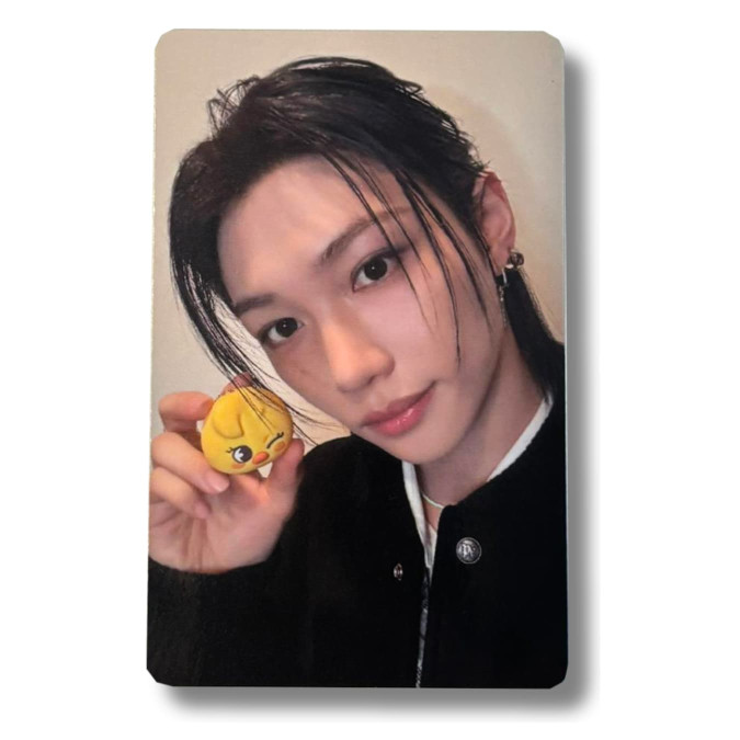 Felix [Stray Kids] Photocard SKZOO x TAMAGOTCHI [11858]