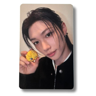 Felix [Stray Kids] Photocard SKZOO x TAMAGOTCHI [11858]