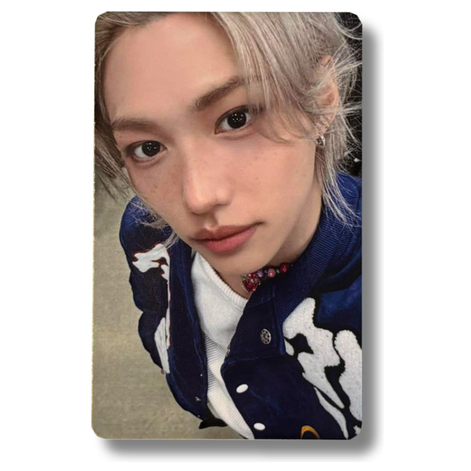 Felix [Stray Kids] Photocard STAY in Our Little House [12032]