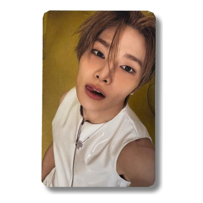 I.N [Stray Kids] Photocard This & That Truck [12038]
