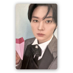 Lee Know [Stray Kids] Pre-order Photocard SKZOO Everywhere All Around The World [12383]