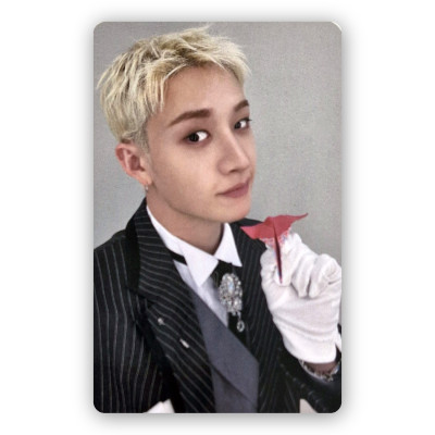 Bang Chan [Stray Kids] Pre-order Photocard SKZOO Everywhere All Around The World [12385]
