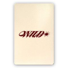 Daniela [KATSEYE] Ktown4u Photocard WILD [12395]