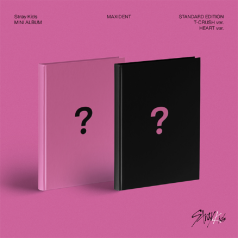 STRAY KIDS - Maxident