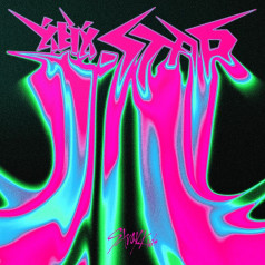 STRAY KIDS - 樂-Star [2412]