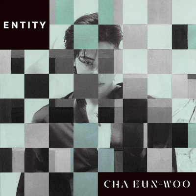 CHA EUNWOO - Entity [2939]