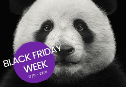 Descuentos del Black Friday en iPurple en k-pop y kbeauty, del 17 al 27 de noviembre